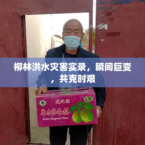 柳林洪水灾害实录,瞬间巨变,共克时艰