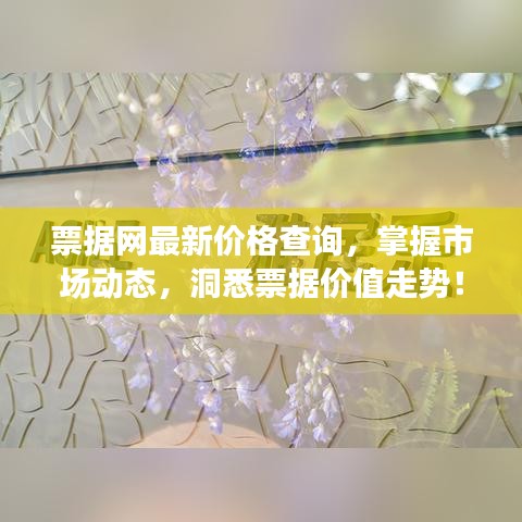 票据网最新价格查询,掌握市场动态,洞悉票据价值走势!