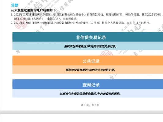 征信电脑版本,精细化策略探讨-网红版_v5.849