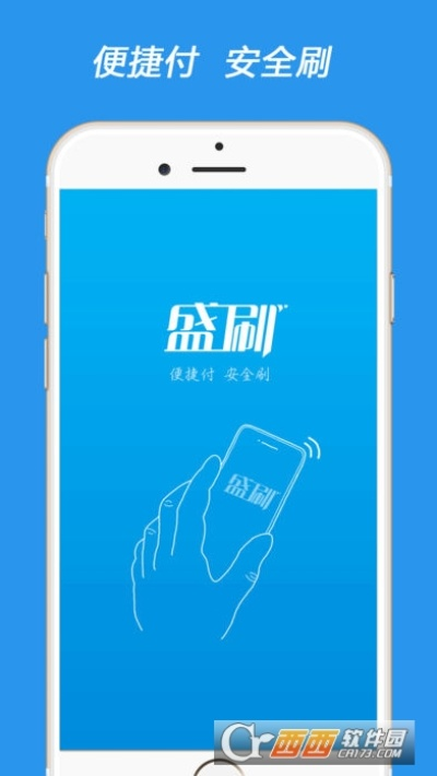 盛刷app官方下载,具体步骤指导 限定版_v8.133