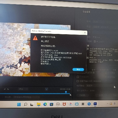 美加版本,快速问题处理策略_Superior_v2.162导出视频失败报错0x103故障排除指南