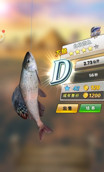 tssd2012激活码同看漂钓鱼单机版,优选方案解析说明-顶级款_v3.315