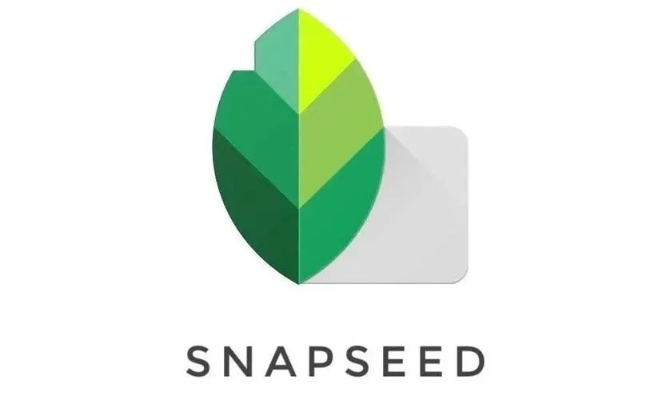 Snapseed下载官方版，同使命行动内测激活码实践策略解析