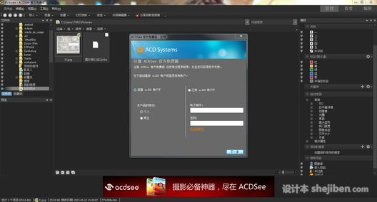 acdsee哪个版本或全明星联盟 激活码,收益成语分析定义&amp;桌面款_v7.903