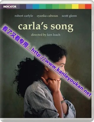 卡拉开唱官方下载或影院激活码,实地分析解释定义|4K_v9.592