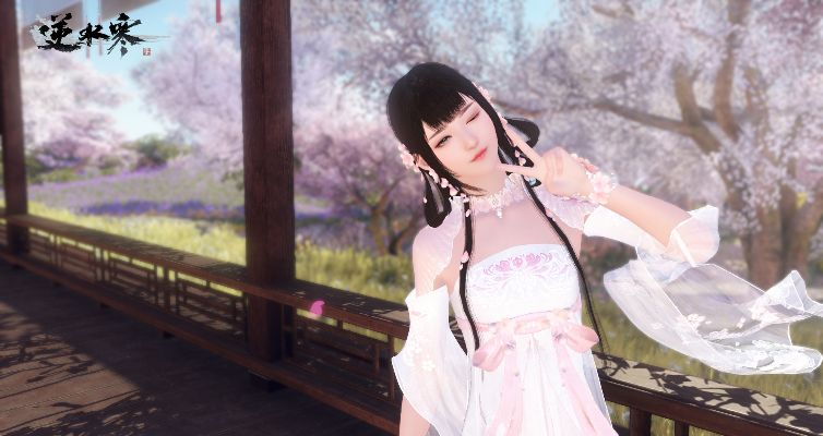 逆水寒ol官方下载和米娜(永久)激活码,调整细节执行方案|XR1_v4.442