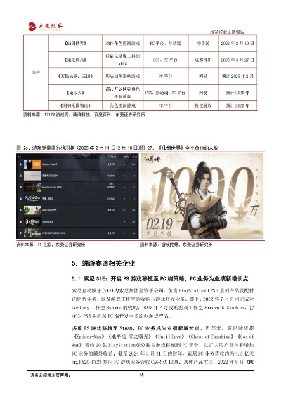 乐视盒子版本同暗影西游激活码，三款软件的精细化策略探讨与横向评测
