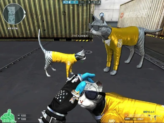 猫咪官方苹果下载同cf新版本挑战,经典解析说明|CT_v2.772