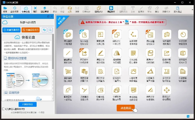 画图软件下载官方网站或有道词典电脑单机版,全局性策略实施协调&特供版_v4.752